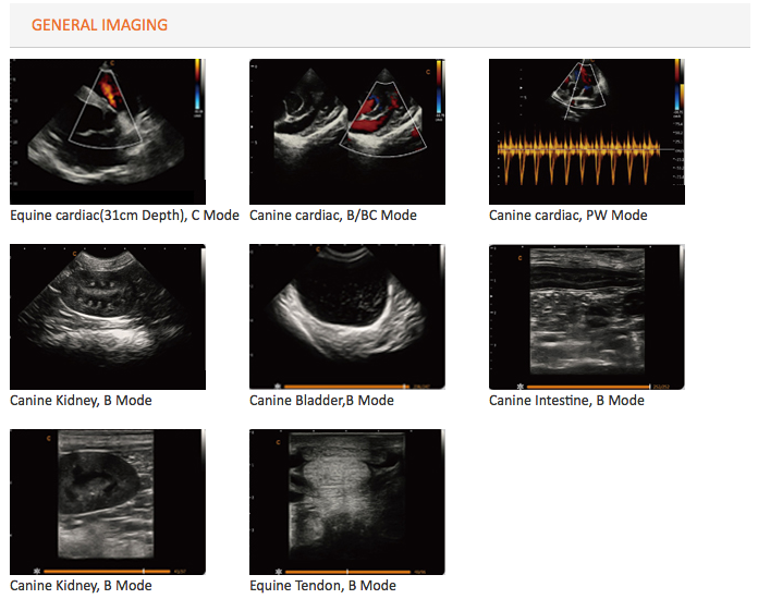 Chison SonoBook9 VET | Veterinary Ultrasounds