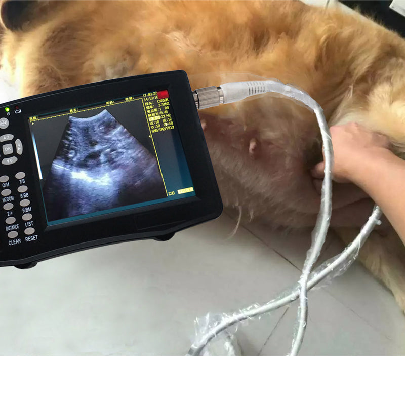 TIANCHI veterinary ultrasound machine TC-210 handheld vet ultrasound scanner equipment