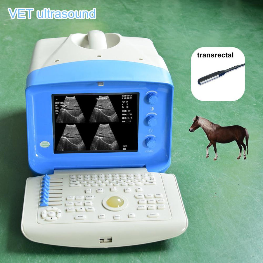 Pet Ultrasound Scanner veterinary, vet, animal pregnancy, equine, equine tendon, bovine, swine,feline, canine ultrasound with any one prob