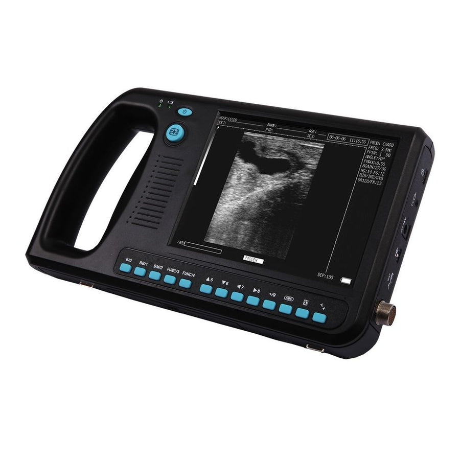 WED 3000V - VETERINARY ULTRASOUND WITH RECTAL LINEAR PROBE