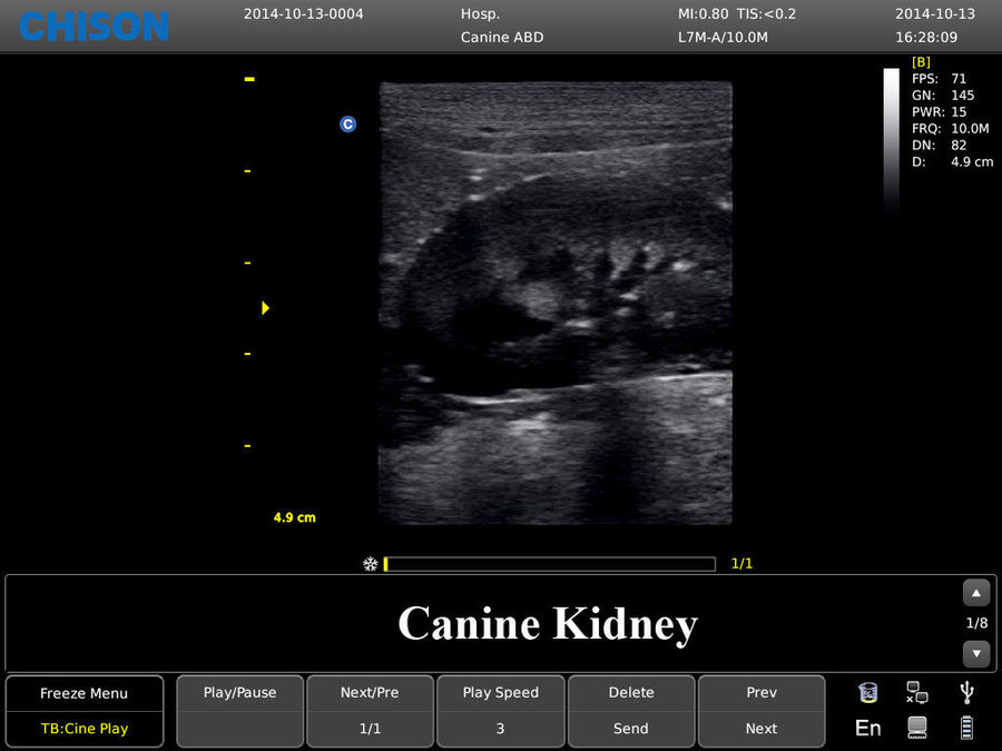 Chison ECO3 Ultrasound w/ 2 Probes and Accredited Veterinary Online Training