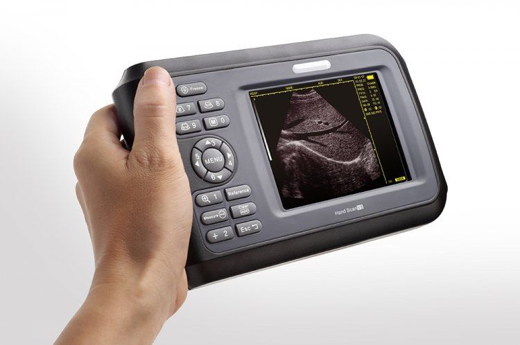 USA Veterinary Animals handheld ultrasound scanner System Rectal 6.5MHZ Medical