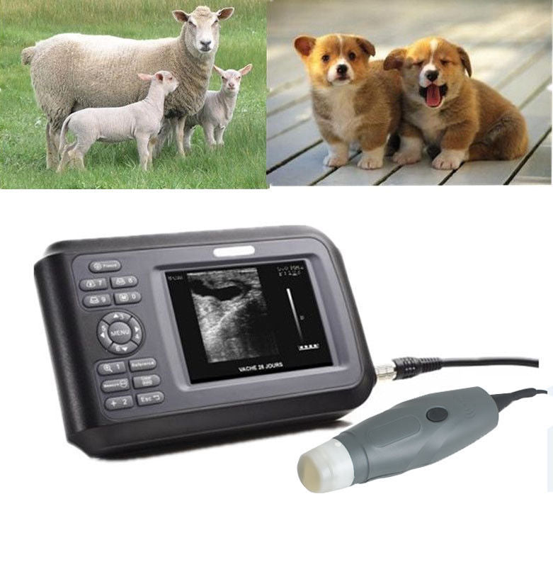 Veterinary Portable Ultrasound Scanner Machine Rectal Probe For Animal with Case 190891468284