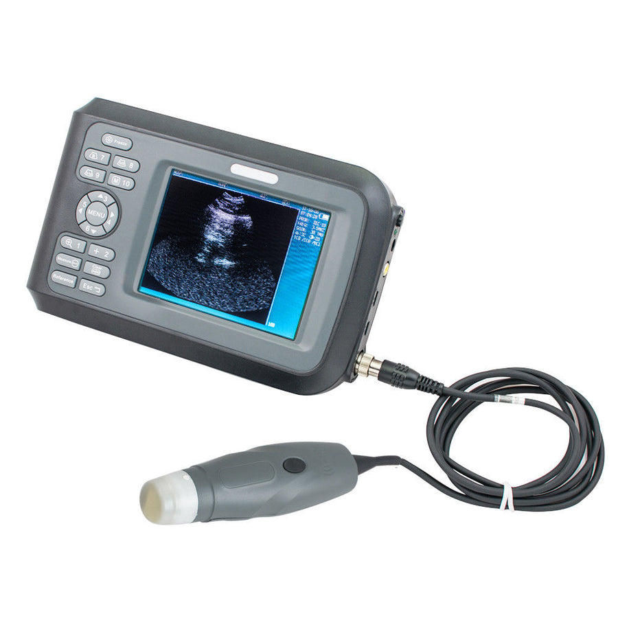 Veterinary Animal Ultrasound Scanner Rectal Linear Probe with Box Bettery A+ 190891468284